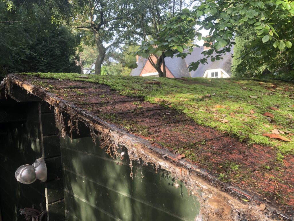 Houtrot dak tuinhui, tuinonderhoud SEIBO bouw en onderhoud