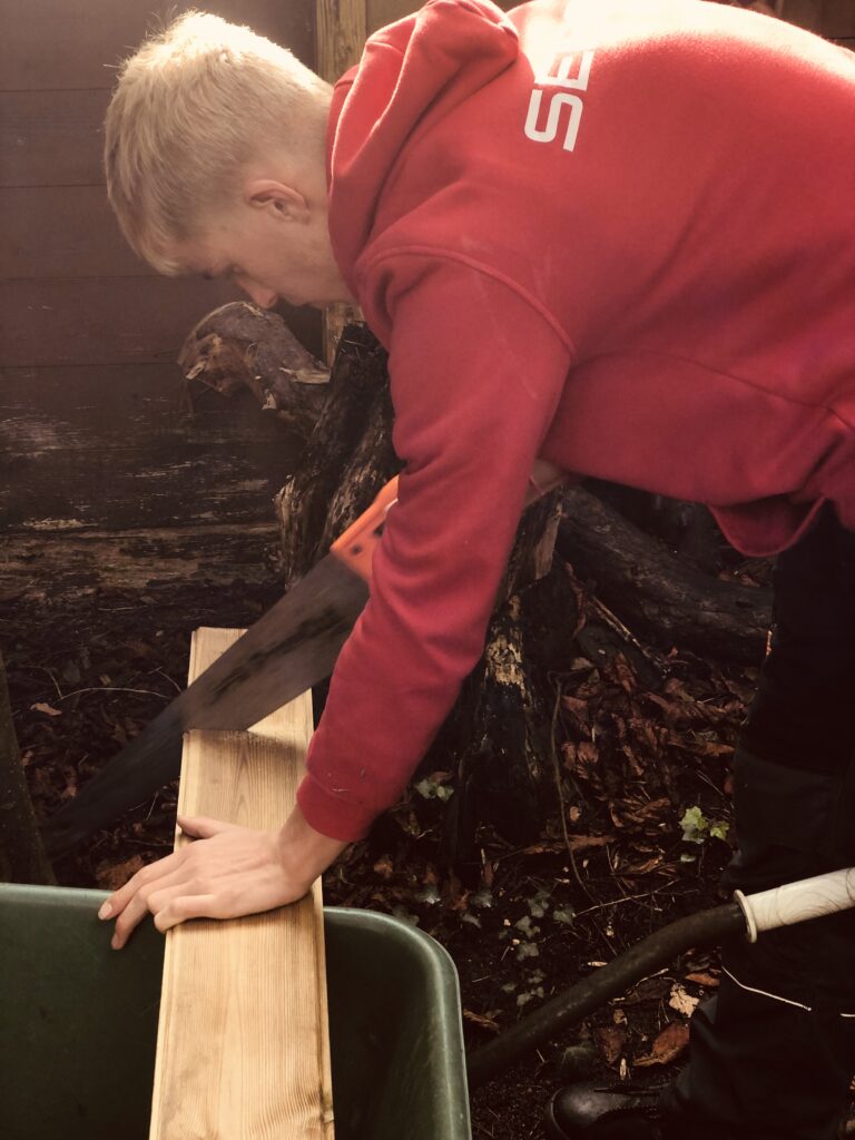 Houtrot dak tuinhui, tuinonderhoud SEIBO bouw en onderhoud