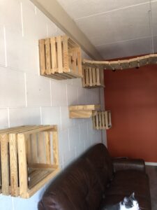 SEIBO, bouw en onderhoud, katten speelwand, speelwand, speelkamer, kistjes, kattenbrug, hillegom, zunneberg animals