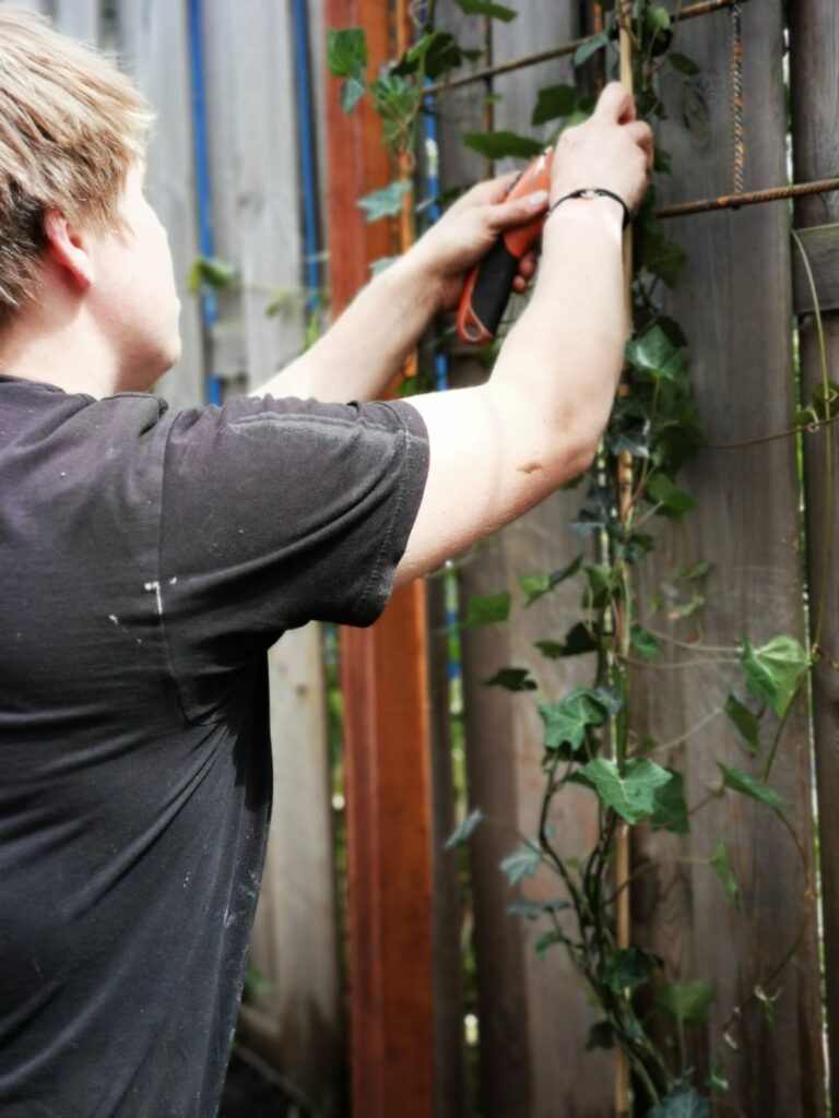 Gaaspaneel met hardhouten palen, schutting zetten, klimop plaatsen, tuinonderhoud, tuinaanleg