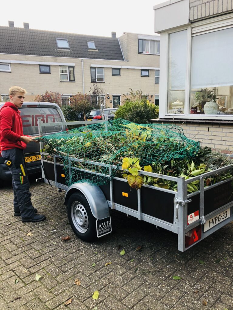 Tuinonderhoud SEIBO bouw en onderhoud, plataan snoeien, kettingzaag