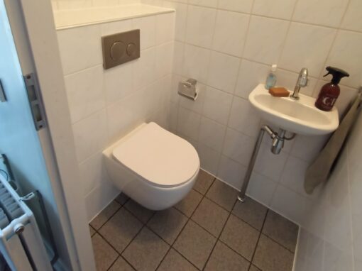 TOILET RENOVATIE