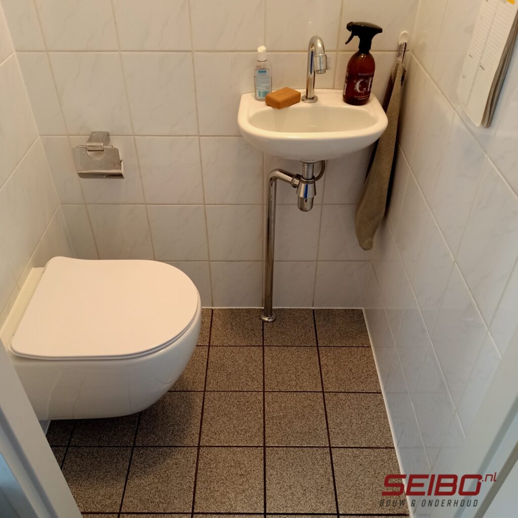 toilet renovatie door SEIBO